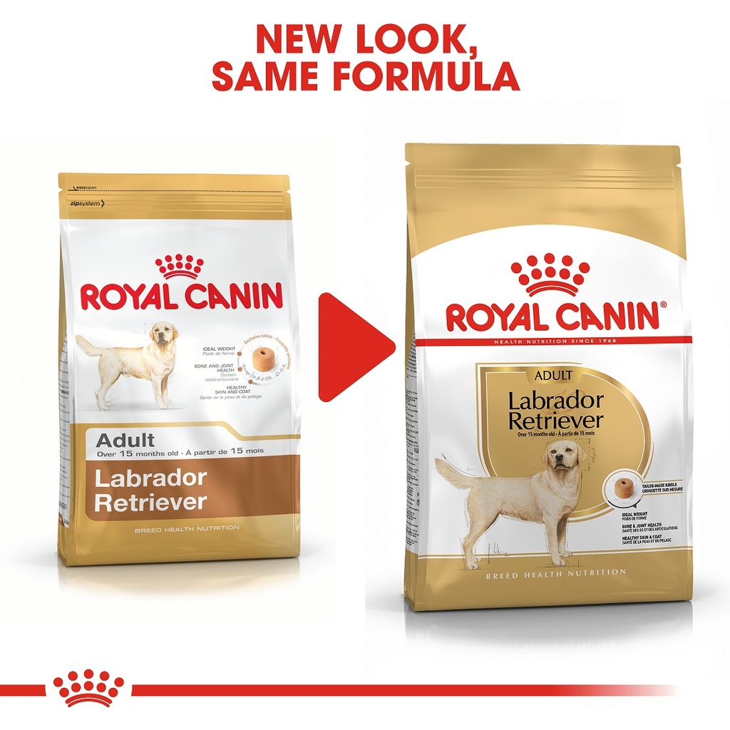 Royal Canin Labrador Retriever Adult Dog Food 3kg PetsEgypt